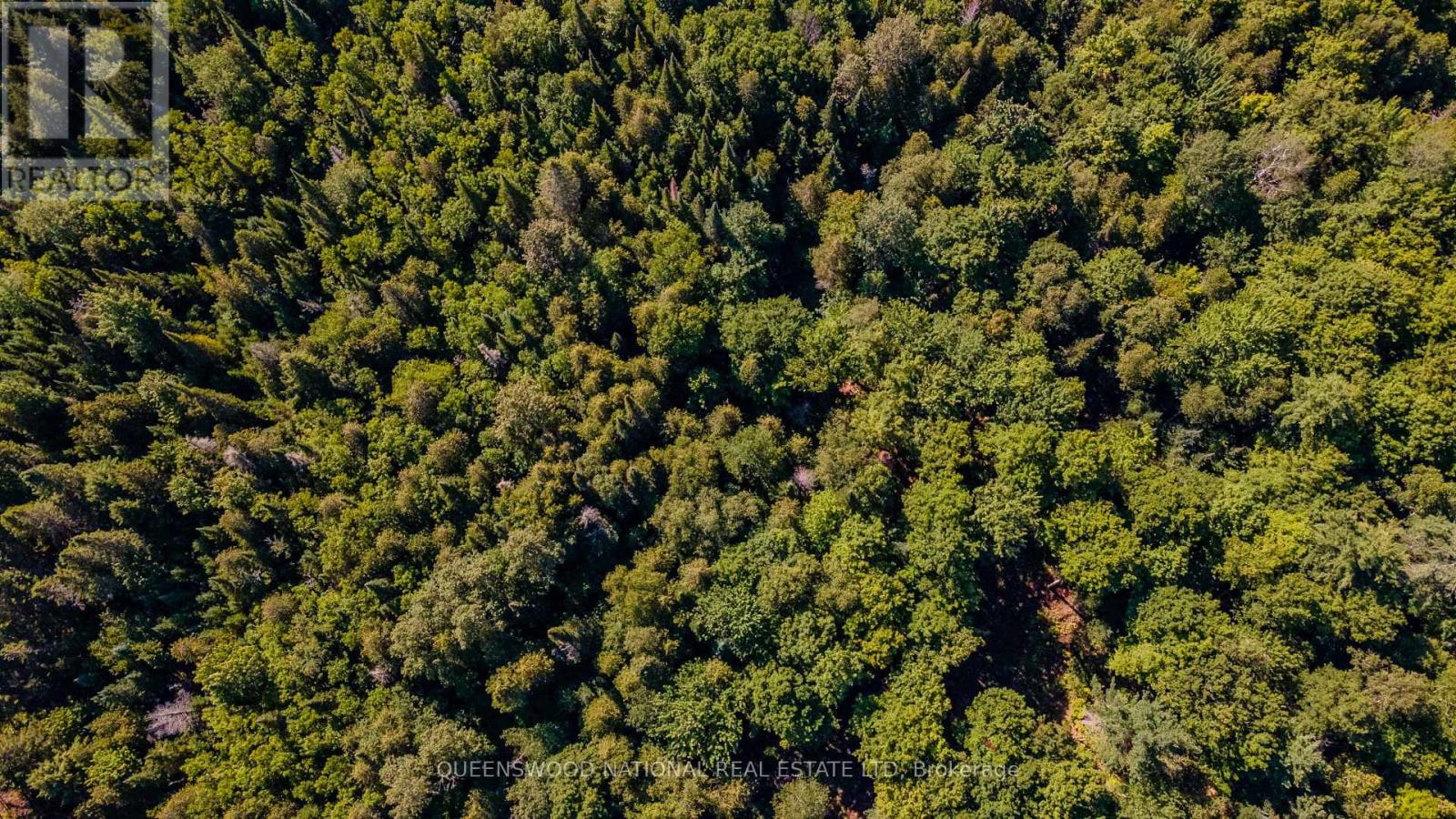 688 Prince Road E, Madawaska Valley, Ontario K0J 2N0 - Photo 7 - X13680520