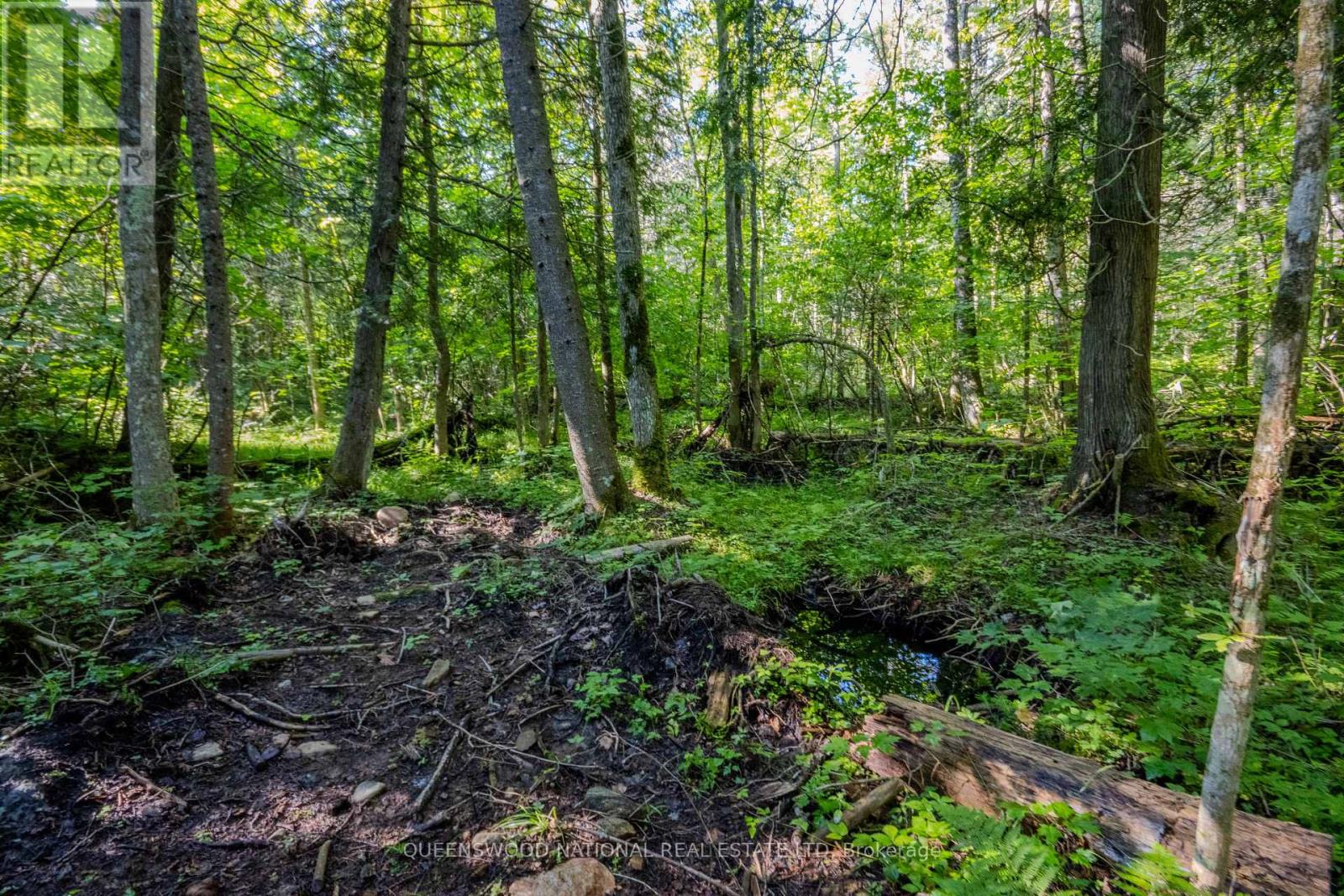 688 Prince Road E, Madawaska Valley, Ontario  K0J 2N0 - Photo 8 - X13680520