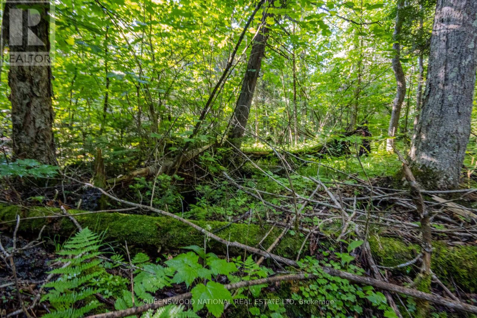 688 Prince Road E, Madawaska Valley, Ontario  K0J 2N0 - Photo 9 - X13680520