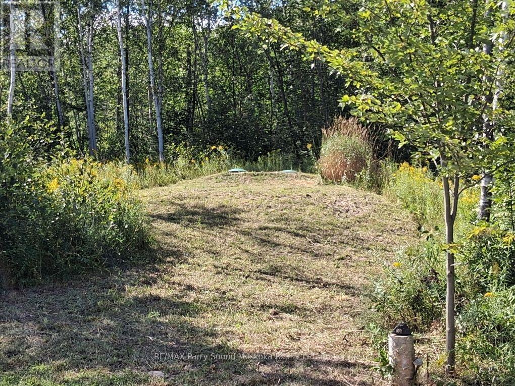 590 Clear Lake Road, Parry Sound Remote Area (Arnstein), Ontario  P0H 1A0 - Photo 26 - X13680550