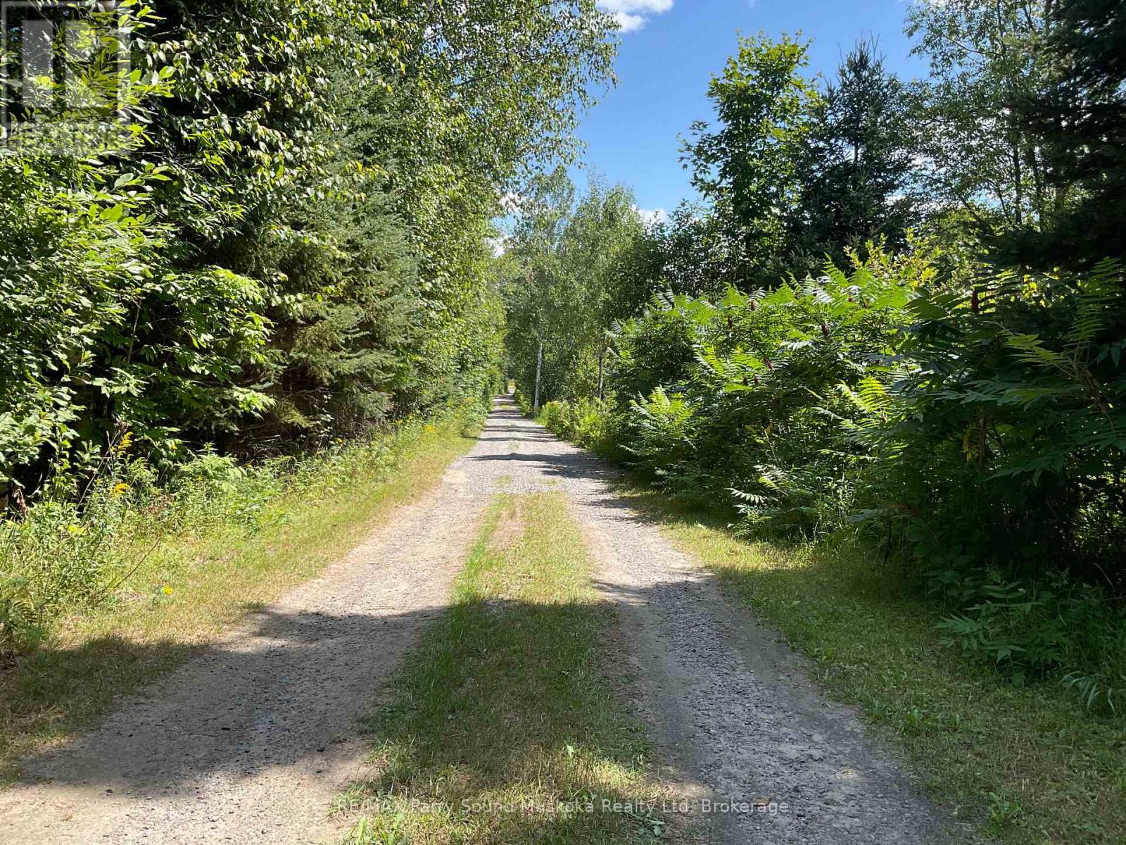 590 Clear Lake Road, Parry Sound Remote Area (Arnstein), Ontario  P0H 1A0 - Photo 3 - X13680550