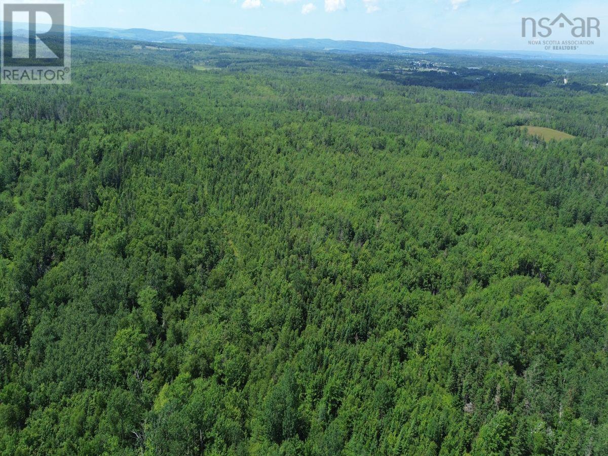 172 Melanson Road, Pomquet, Nova Scotia  B2G 2L4 - Photo 13 - 202620706