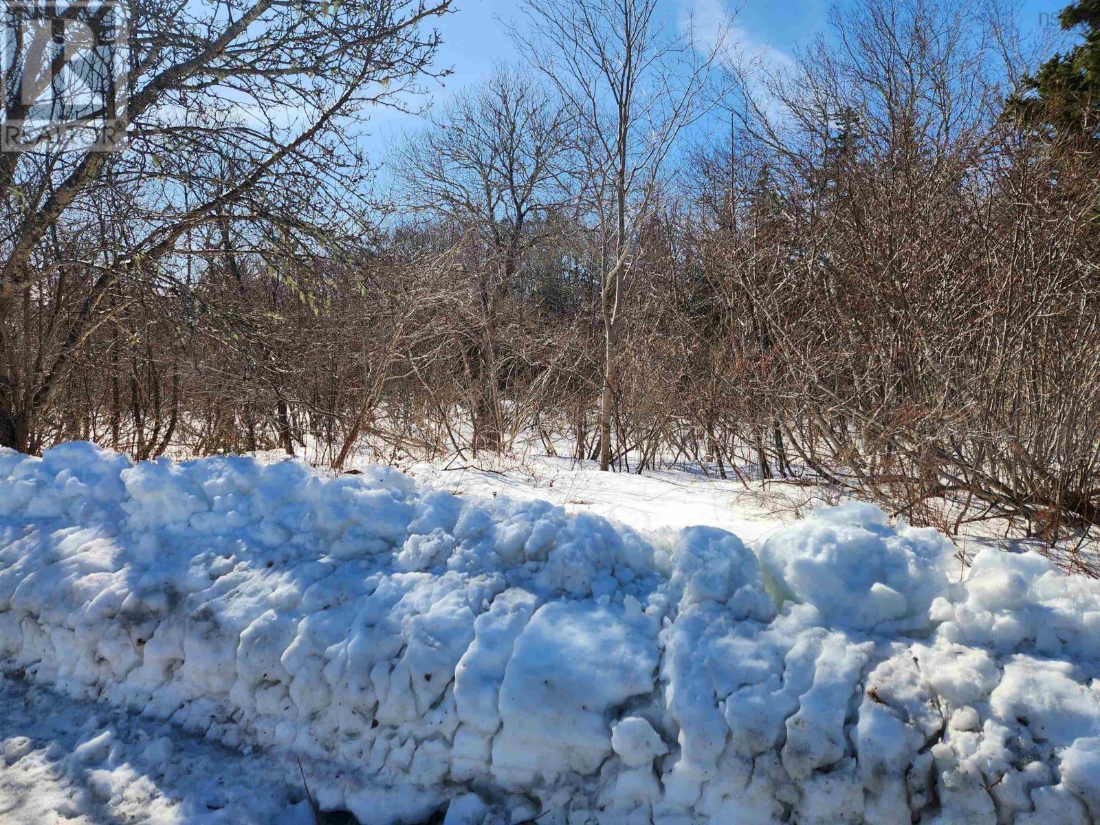 Lot B White Point 1 Road, White Point, Nova Scotia  B0T 1G0 - Photo 7 - 202603857