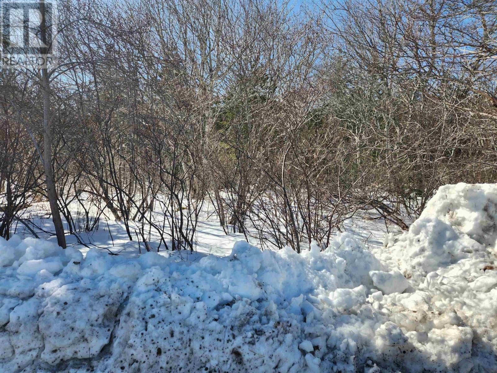Lot B White Point 1 Road, White Point, Nova Scotia  B0T 1G0 - Photo 6 - 202603857