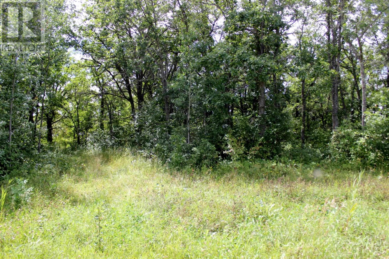 222 Morrison Rd, Morson, Ontario  P0W 1J0 - Photo 14 - TB2601386