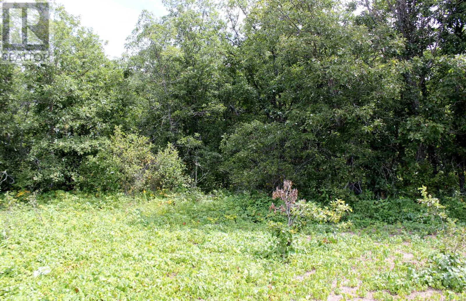 222 Morrison Rd, Morson, Ontario  P0W 1J0 - Photo 21 - TB2601386