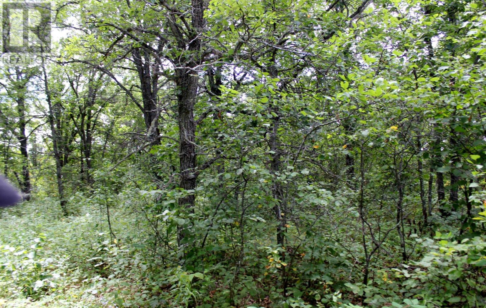 222 Morrison Rd, Morson, Ontario  P0W 1J0 - Photo 17 - TB2601386