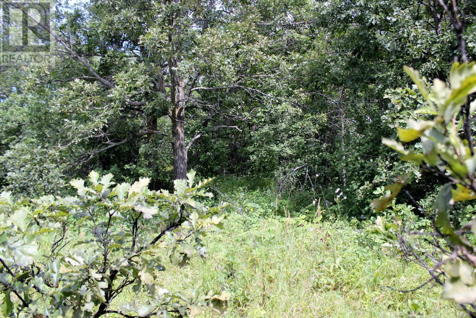 222 Morrison Rd, Morson, Ontario  P0W 1J0 - Photo 22 - TB2601386