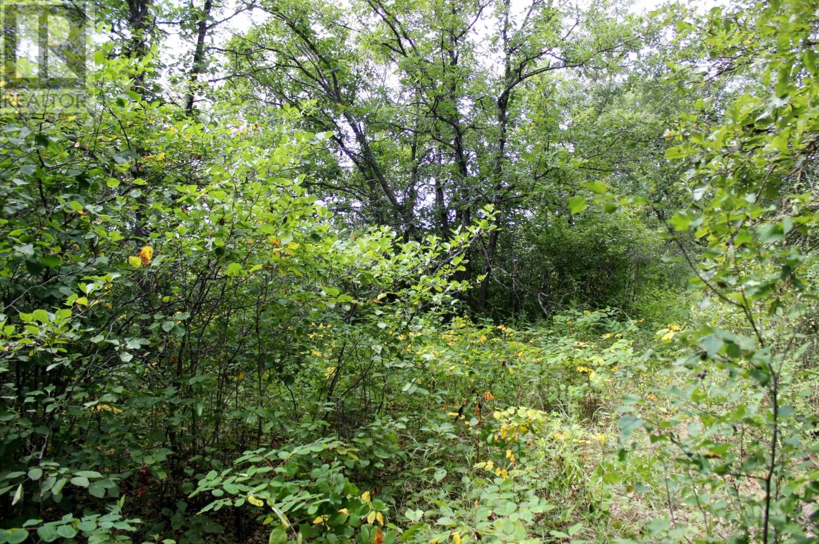 222 Morrison Rd, Morson, Ontario  P0W 1J0 - Photo 16 - TB2601386