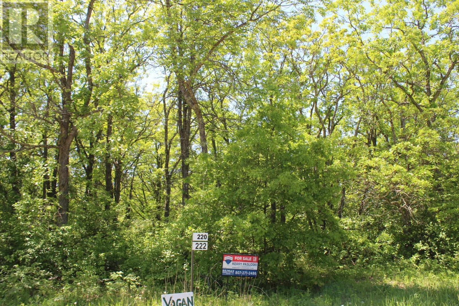 222 Morrison Rd, Morson, Ontario  P0W 1J0 - Photo 33 - TB2601386