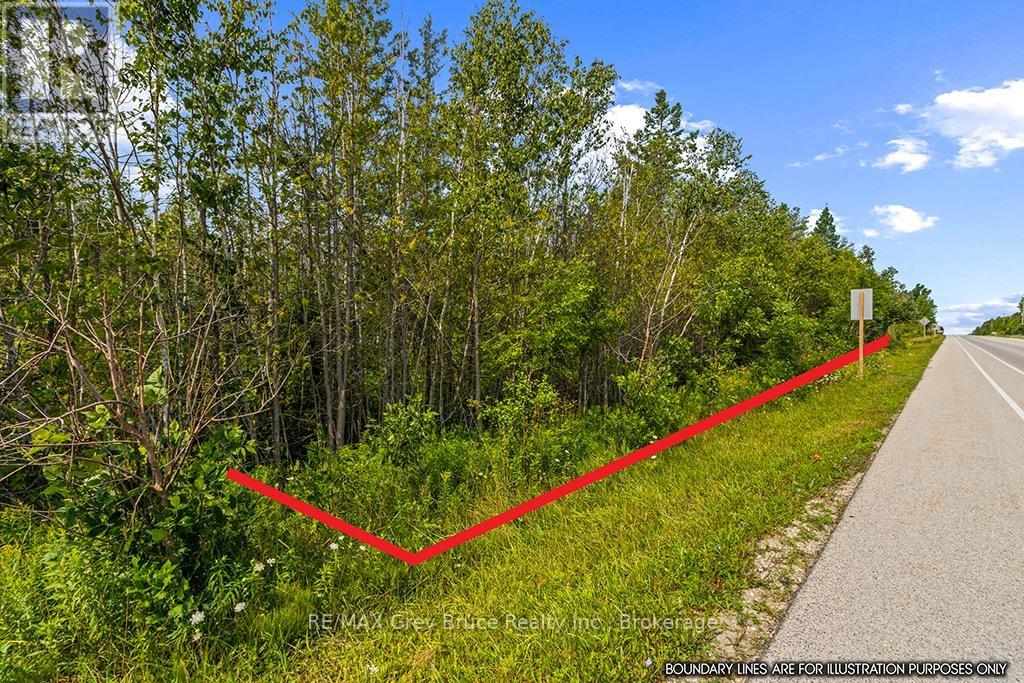 Part 2 Pt Lt 46 Highway 6, Northern Bruce Peninsula, Ontario  N0H 2R0 - Photo 10 - X13680874