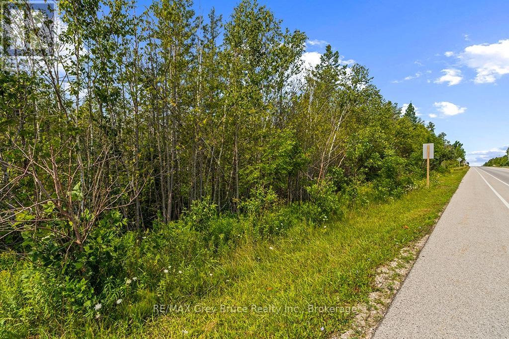 Part 2 Pt Lt 46 Highway 6, Northern Bruce Peninsula, Ontario  N0H 2R0 - Photo 11 - X13680874
