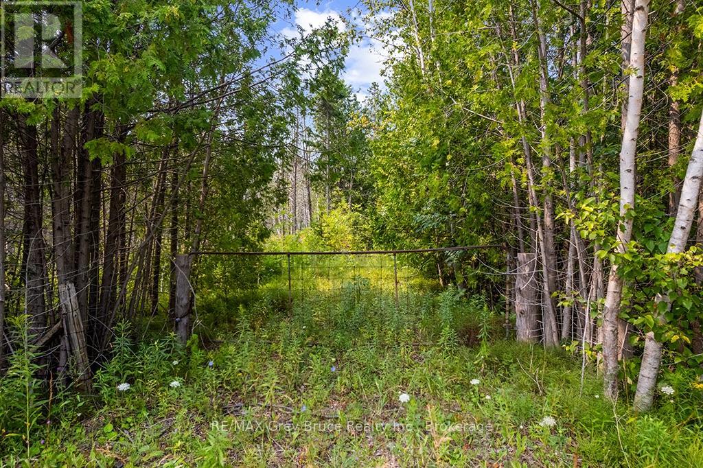 Part 2 Pt Lt 46 Highway 6, Northern Bruce Peninsula, Ontario  N0H 2R0 - Photo 13 - X13680874