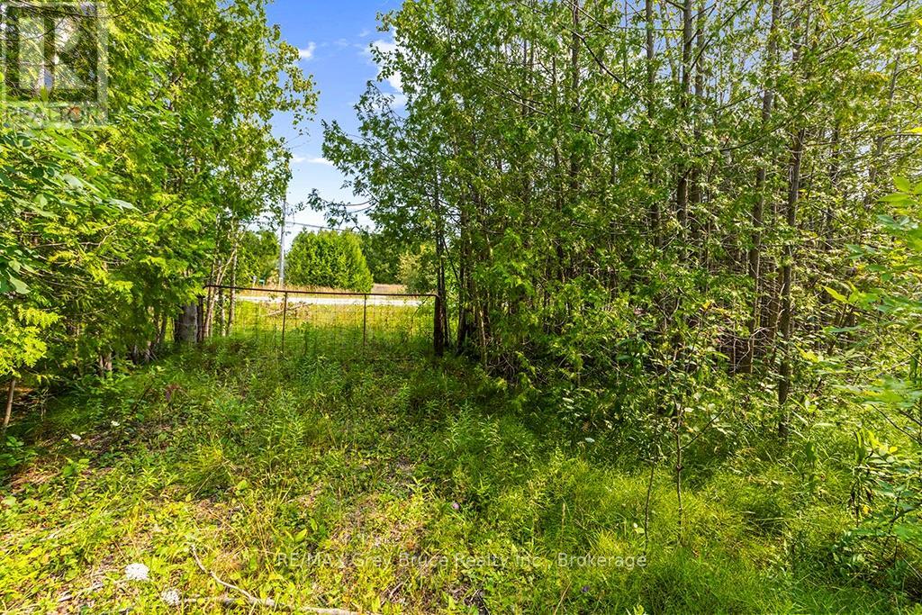 Part 2 Pt Lt 46 Highway 6, Northern Bruce Peninsula, Ontario  N0H 2R0 - Photo 16 - X13680874
