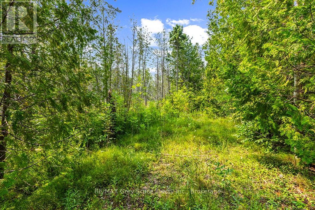 Part 2 Pt Lt 46 Highway 6, Northern Bruce Peninsula, Ontario  N0H 2R0 - Photo 17 - X13680874
