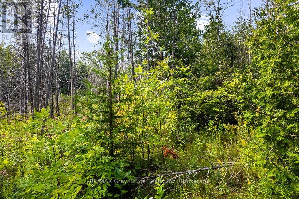 Part 2 Pt Lt 46 Highway 6, Northern Bruce Peninsula, Ontario  N0H 2R0 - Photo 18 - X13680874
