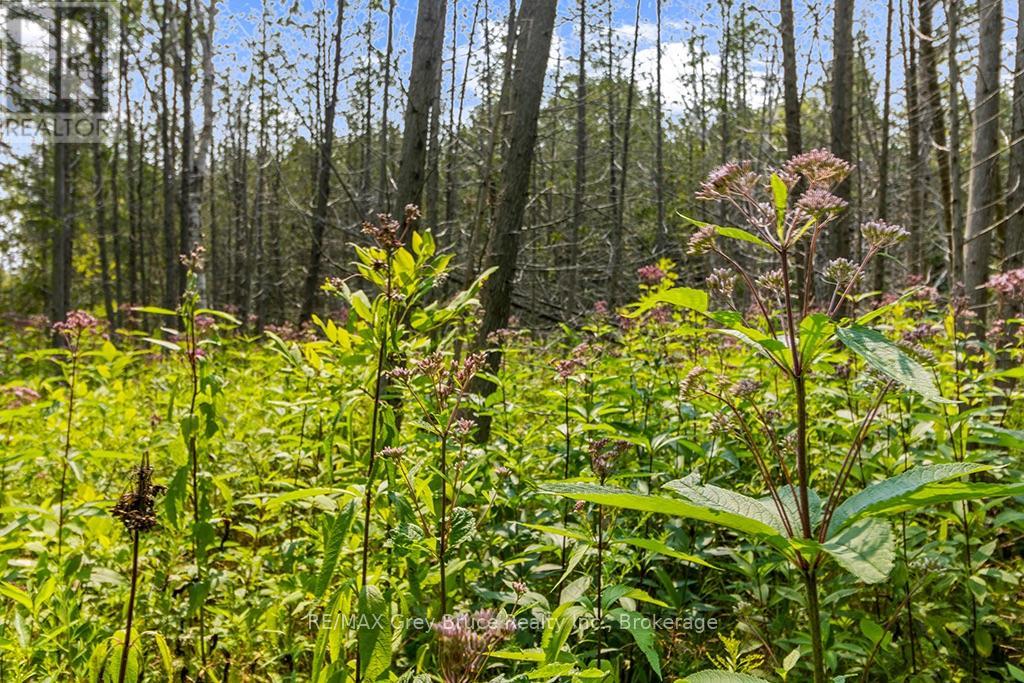 Part 2 Pt Lt 46 Highway 6, Northern Bruce Peninsula, Ontario  N0H 2R0 - Photo 20 - X13680874