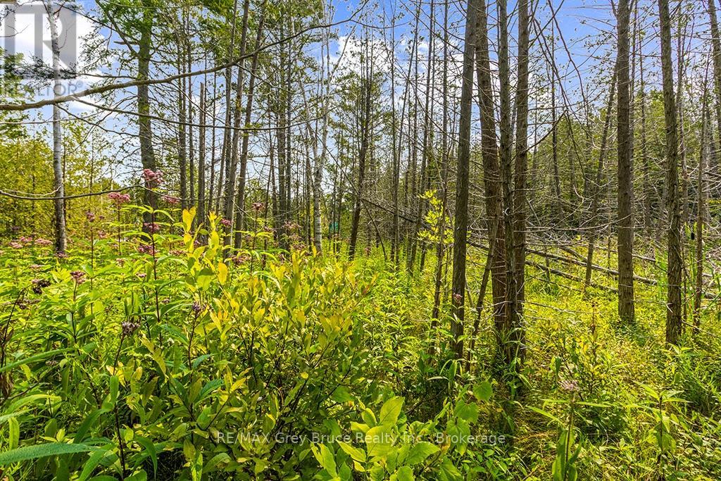 Part 2 Pt Lt 46 Highway 6, Northern Bruce Peninsula, Ontario  N0H 2R0 - Photo 21 - X13680874