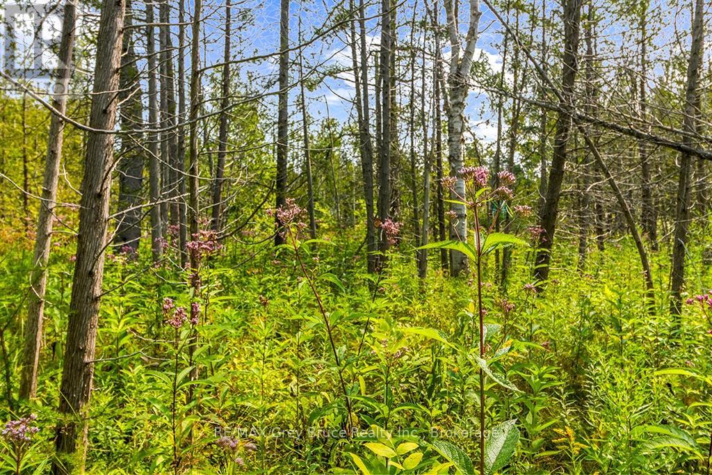 Part 2 Pt Lt 46 Highway 6, Northern Bruce Peninsula, Ontario  N0H 2R0 - Photo 22 - X13680874