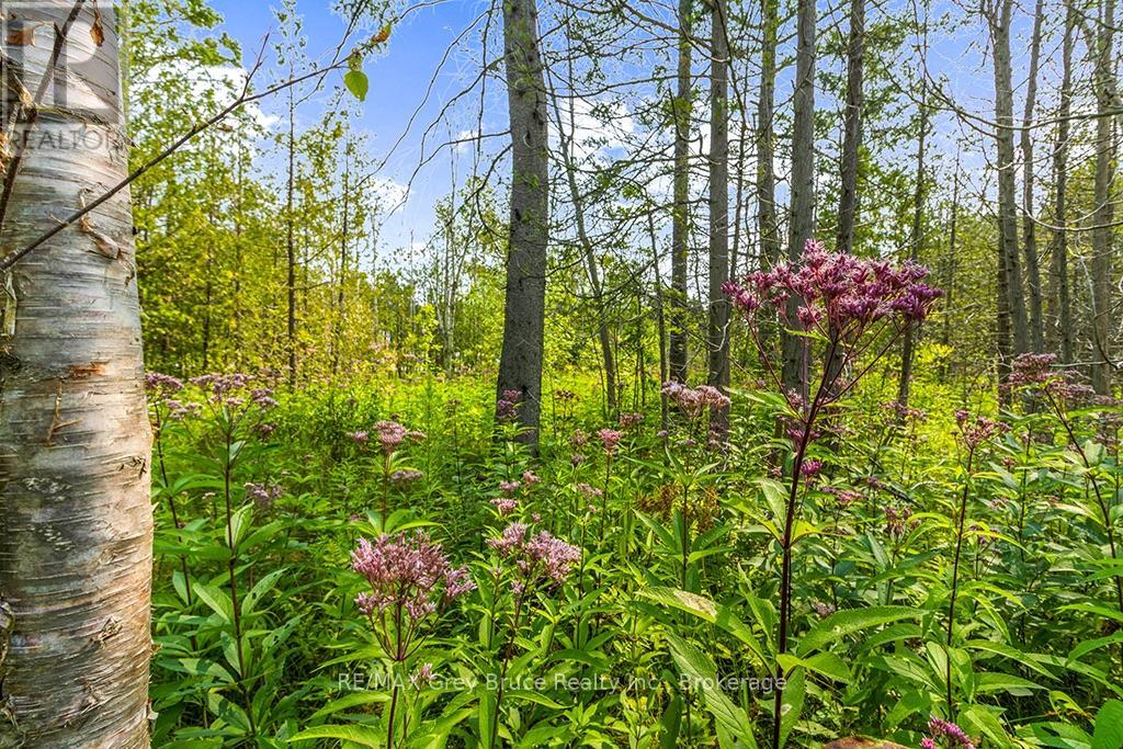 Part 2 Pt Lt 46 Highway 6, Northern Bruce Peninsula, Ontario  N0H 2R0 - Photo 23 - X13680874