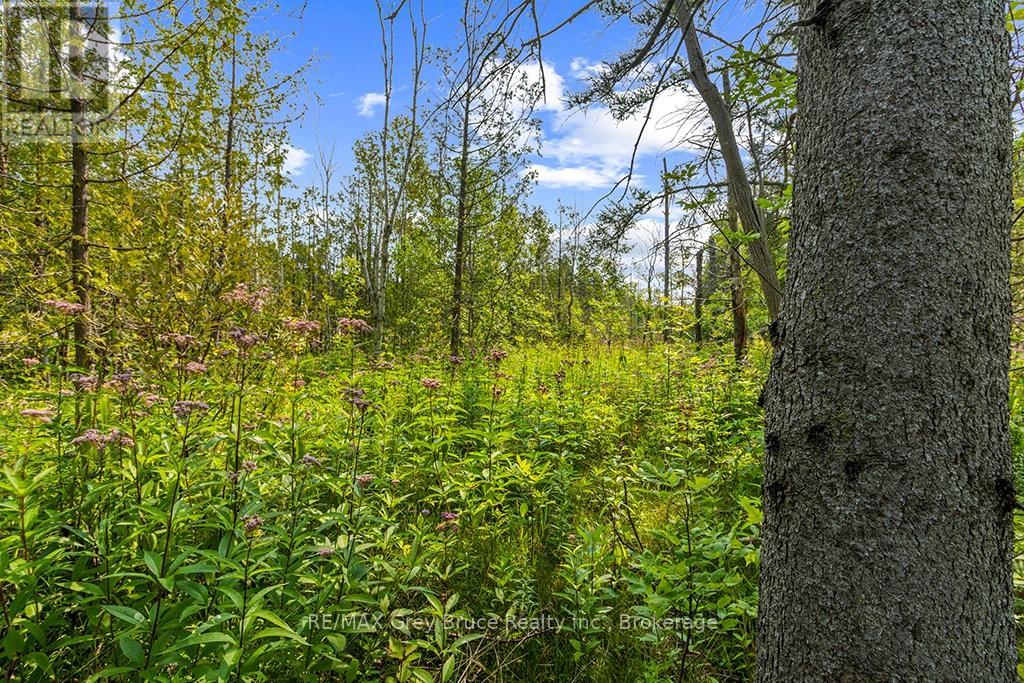 Part 2 Pt Lt 46 Highway 6, Northern Bruce Peninsula, Ontario  N0H 2R0 - Photo 24 - X13680874