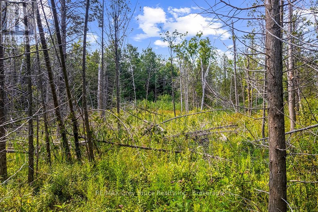 Part 2 Pt Lt 46 Highway 6, Northern Bruce Peninsula, Ontario  N0H 2R0 - Photo 25 - X13680874