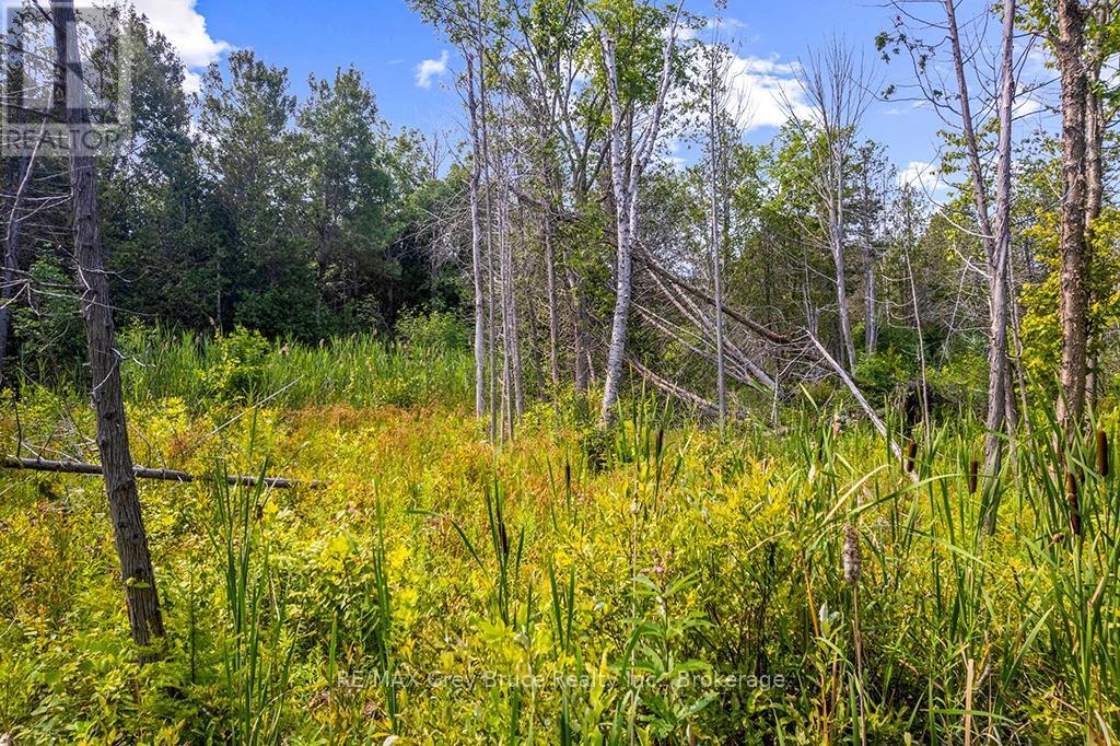 Part 2 Pt Lt 46 Highway 6, Northern Bruce Peninsula, Ontario  N0H 2R0 - Photo 26 - X13680874