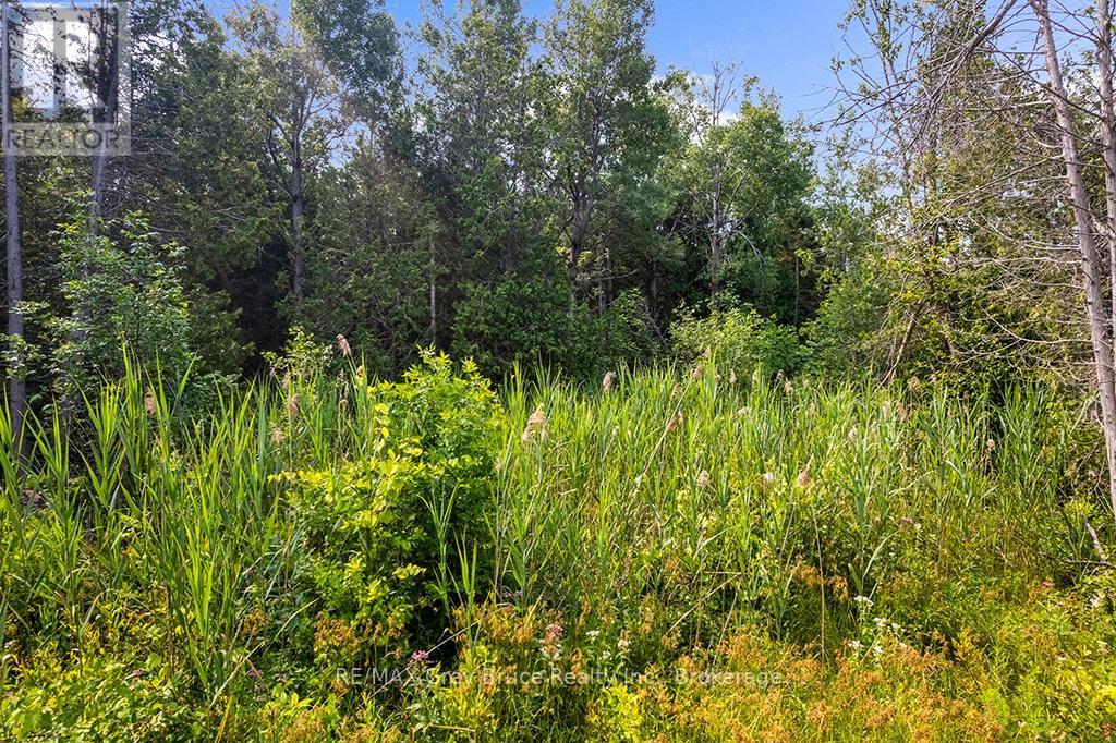 Part 2 Pt Lt 46 Highway 6, Northern Bruce Peninsula, Ontario  N0H 2R0 - Photo 27 - X13680874