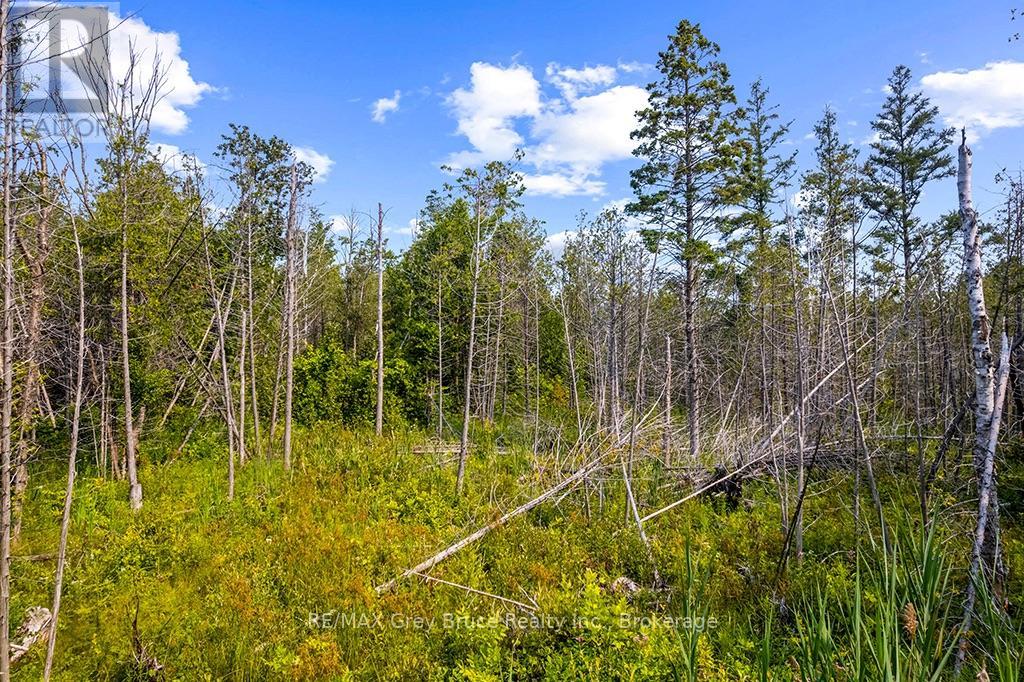 Part 2 Pt Lt 46 Highway 6, Northern Bruce Peninsula, Ontario  N0H 2R0 - Photo 28 - X13680874