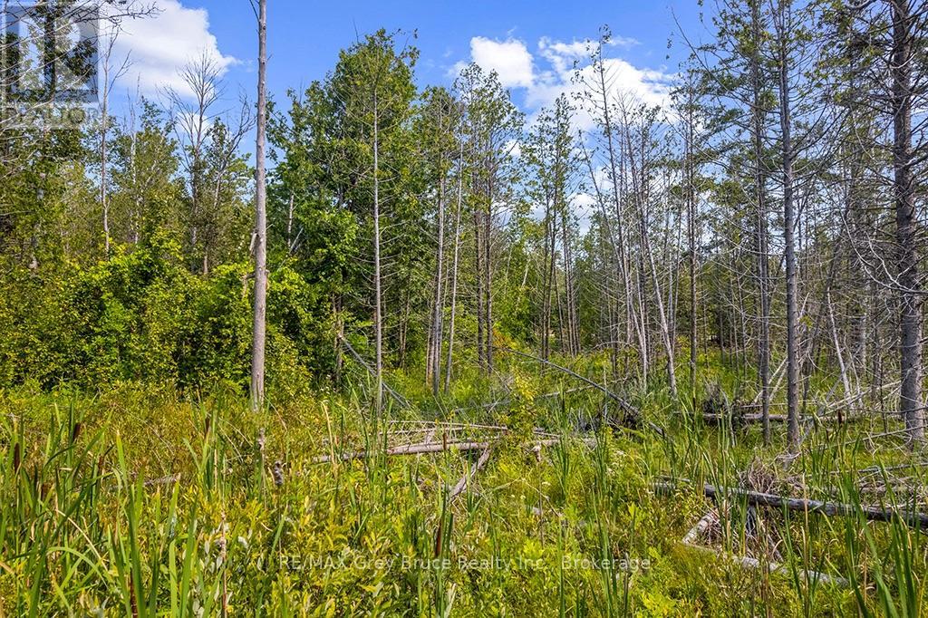 Part 2 Pt Lt 46 Highway 6, Northern Bruce Peninsula, Ontario  N0H 2R0 - Photo 29 - X13680874