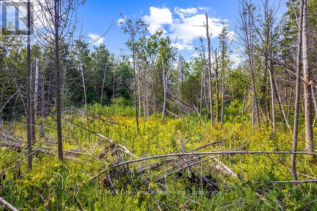 Part 2 Pt Lt 46 Highway 6, Northern Bruce Peninsula, Ontario  N0H 2R0 - Photo 30 - X13680874