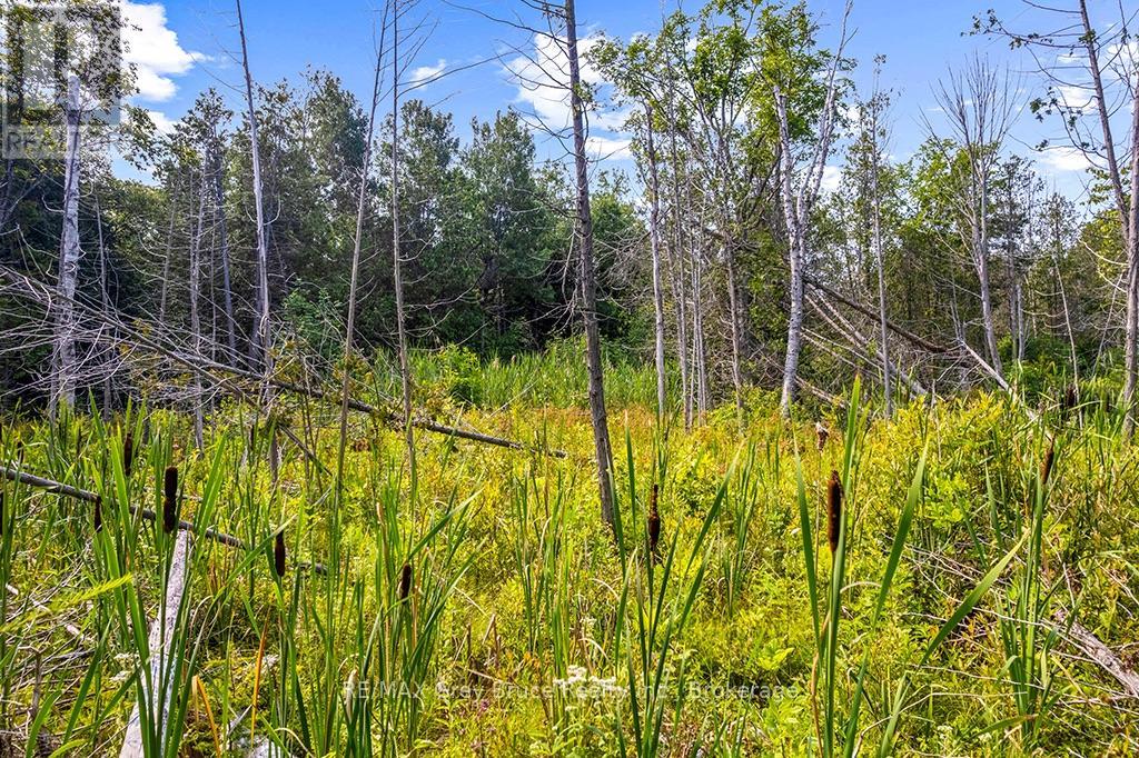 Part 2 Pt Lt 46 Highway 6, Northern Bruce Peninsula, Ontario  N0H 2R0 - Photo 31 - X13680874
