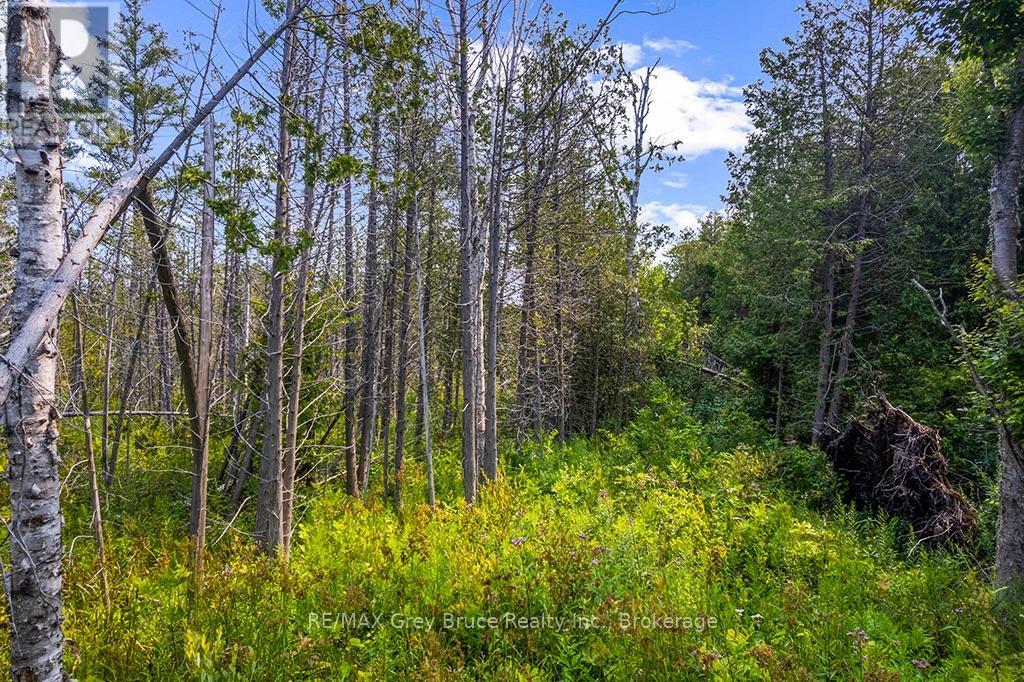 Part 2 Pt Lt 46 Highway 6, Northern Bruce Peninsula, Ontario  N0H 2R0 - Photo 32 - X13680874