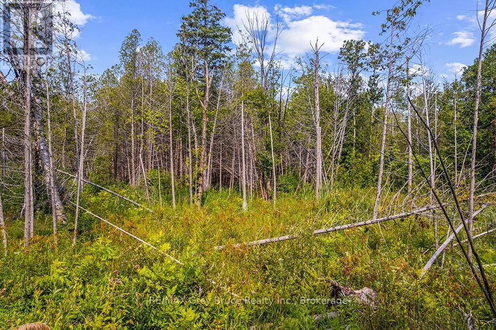 Part 2 Pt Lt 46 Highway 6, Northern Bruce Peninsula, Ontario  N0H 2R0 - Photo 33 - X13680874
