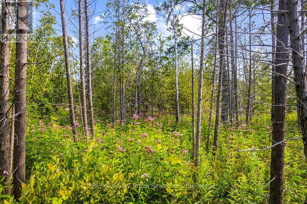 Part 2 Pt Lt 46 Highway 6, Northern Bruce Peninsula, Ontario  N0H 2R0 - Photo 34 - X13680874