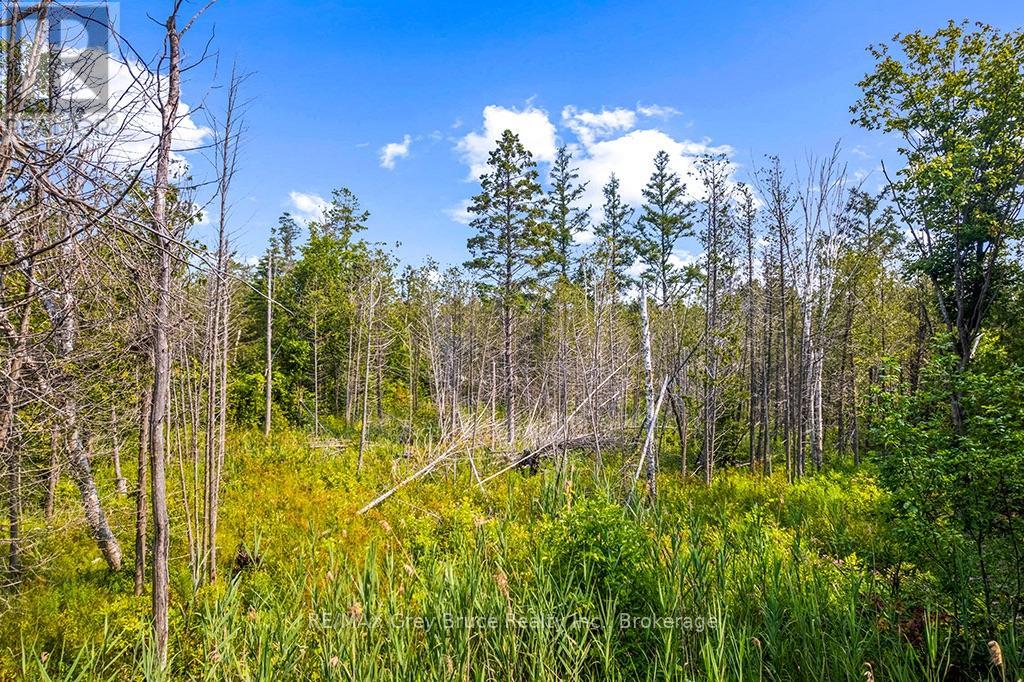 Part 2 Pt Lt 46 Highway 6, Northern Bruce Peninsula, Ontario  N0H 2R0 - Photo 35 - X13680874