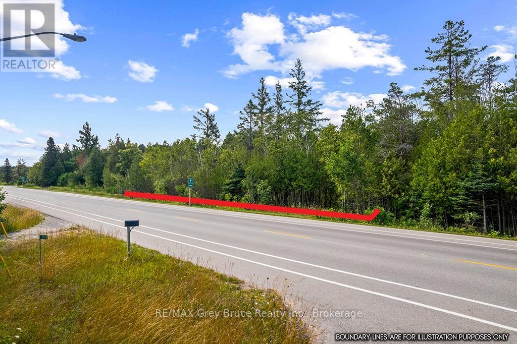 Part 2 Pt Lt 46 Highway 6, Northern Bruce Peninsula, Ontario  N0H 2R0 - Photo 8 - X13680874