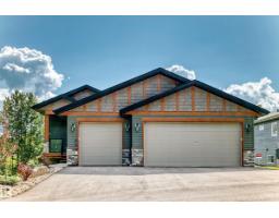 202 55101 Ste Anne Trail, Rural Lac Ste. Anne County, Alberta T0E 1A1 (30161290)