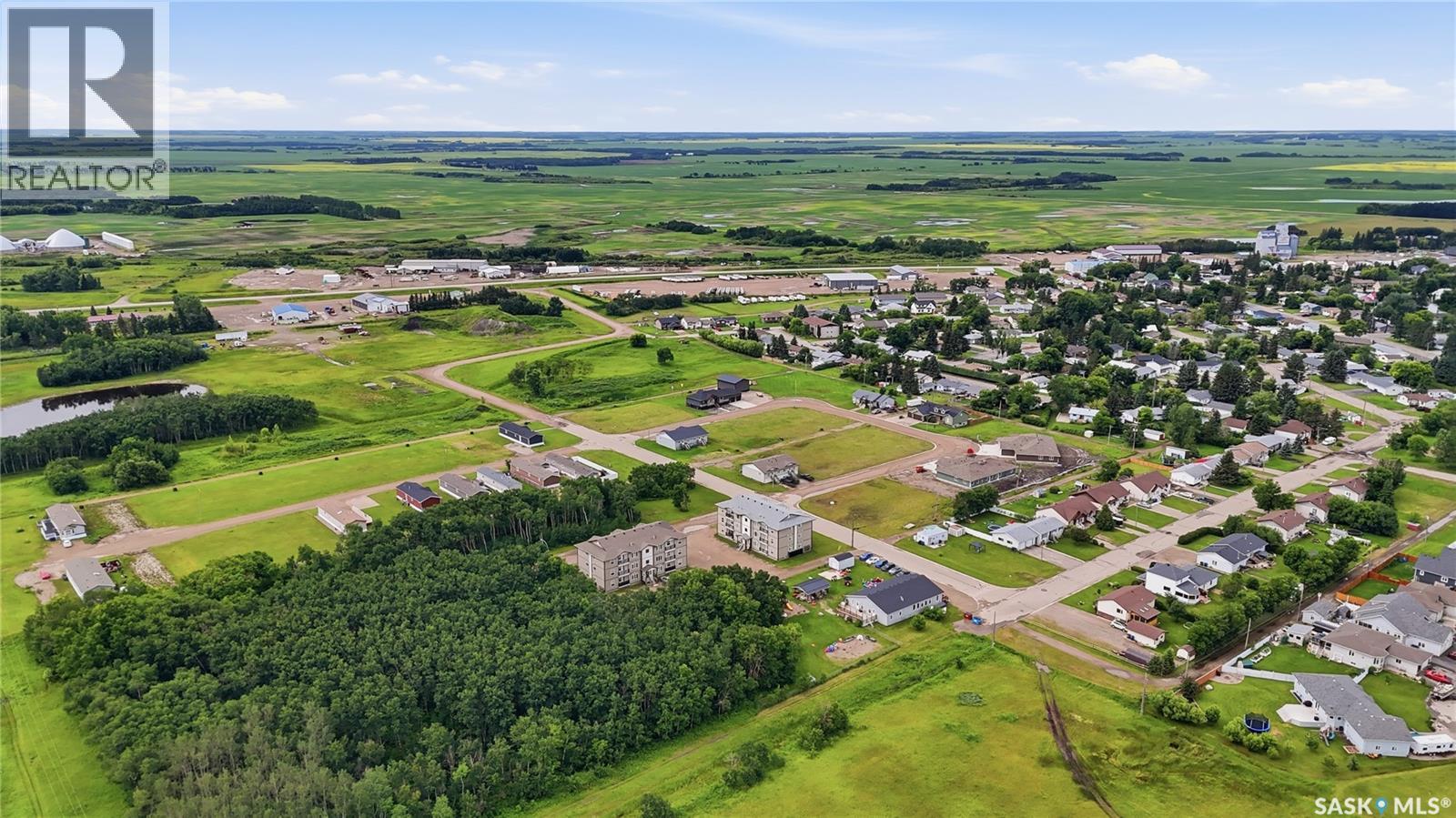 1202&1212 Dauncey Drive, Rocanville, Saskatchewan  S0A 3L0 - Photo 19 - SK044961