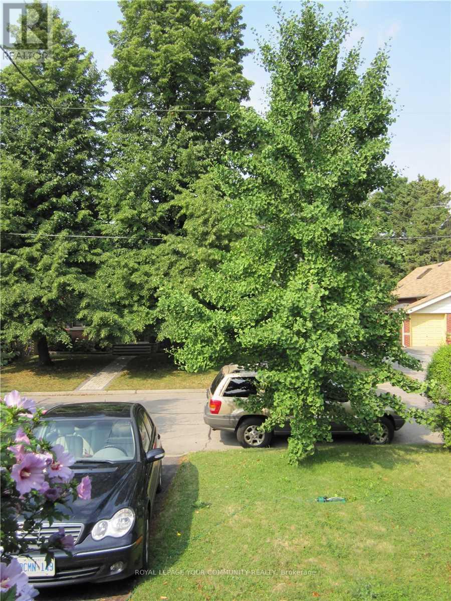 13 Tenth Street, Toronto, Ontario  M8V 3E7 - Photo 30 - W13590162