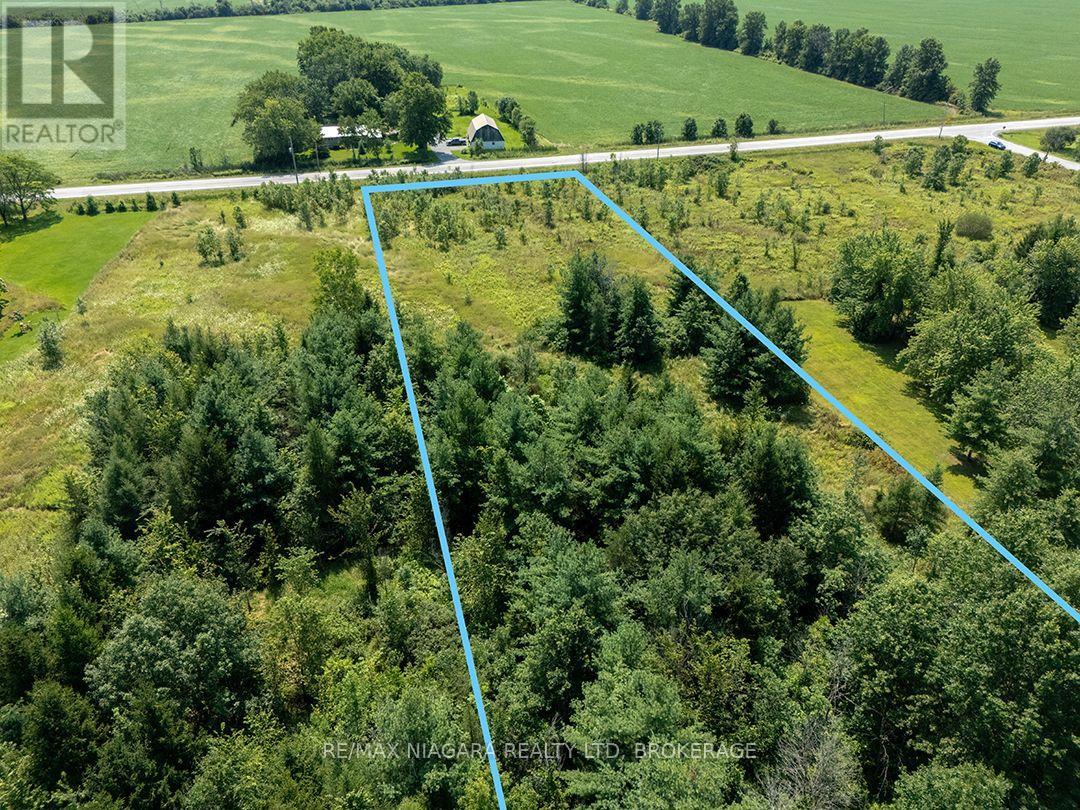 Ns Forks Road W, Wainfleet, Ontario  L0S 1V0 - Photo 4 - X13680820