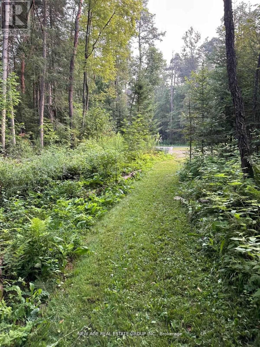 Br1 - 9031 Sideroad 17, Erin, Ontario  N0B 1Z0 - Photo 28 - X13681158