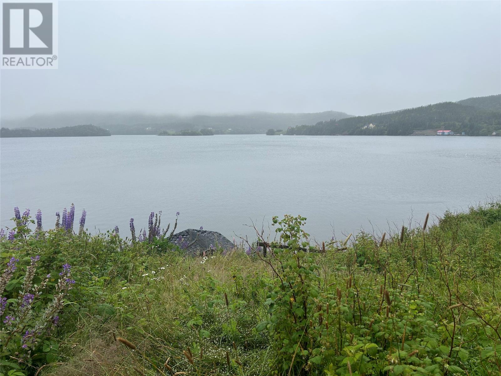 64 Main Street, Trinity, Newfoundland & Labrador  A0C 2S0 - Photo 26 - 1301554