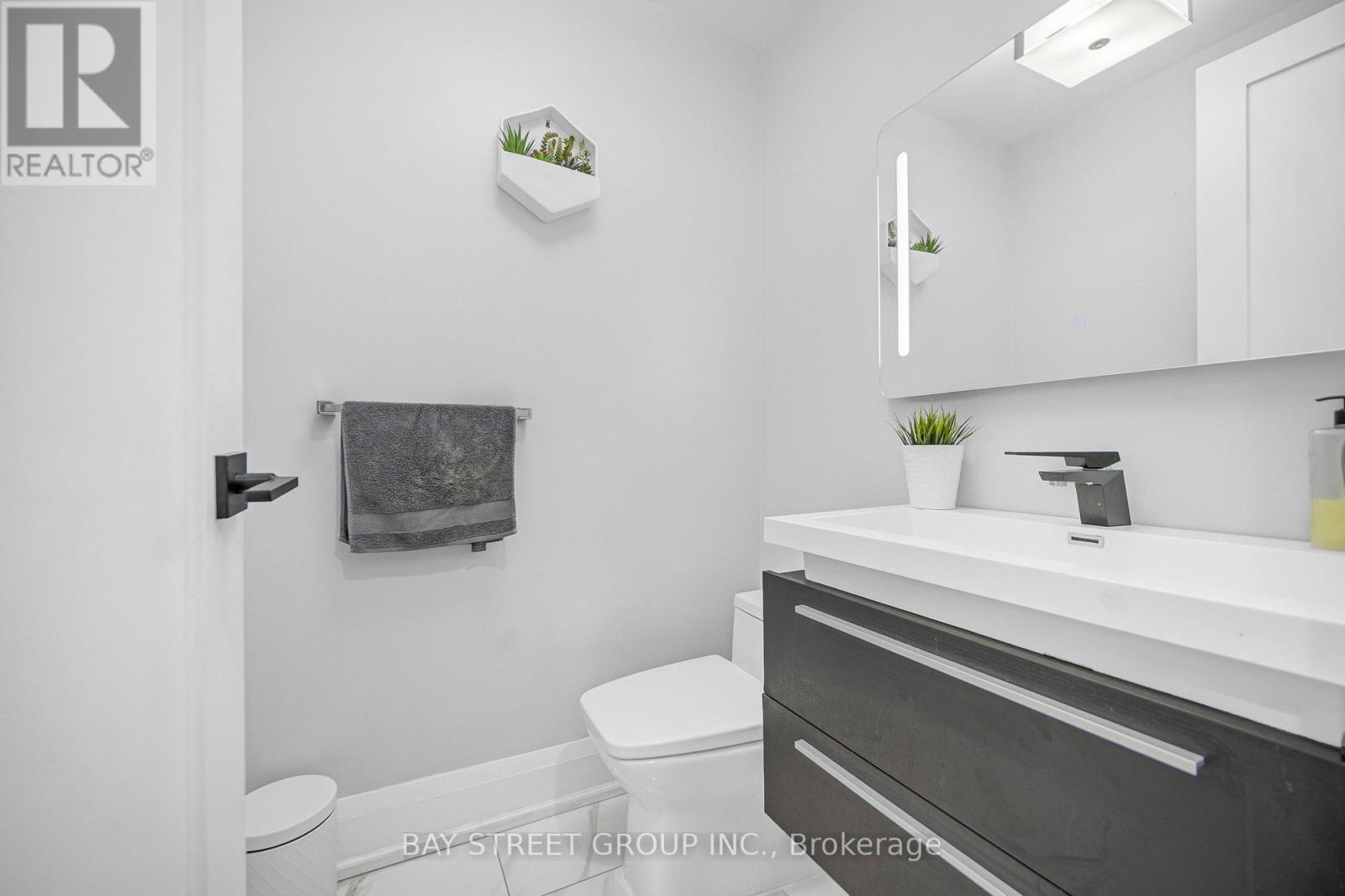 231 Shaftsbury Avenue N, Richmond Hill, Ontario  L4C 0E8 - Photo 20 - N13681194