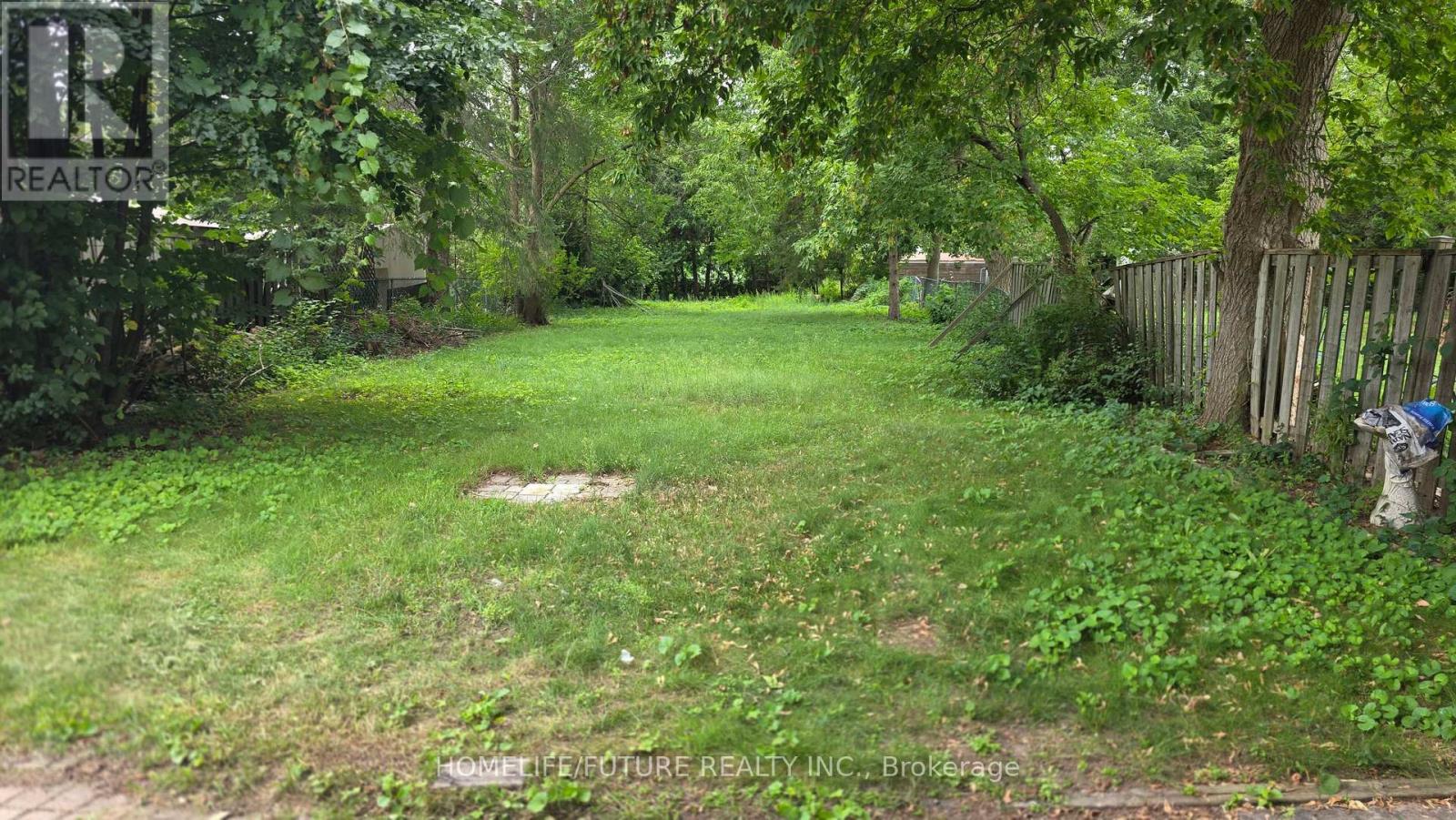 Main - 362 Morrish Road, Toronto, Ontario M1C 1G1 - Photo 9 - E13680932