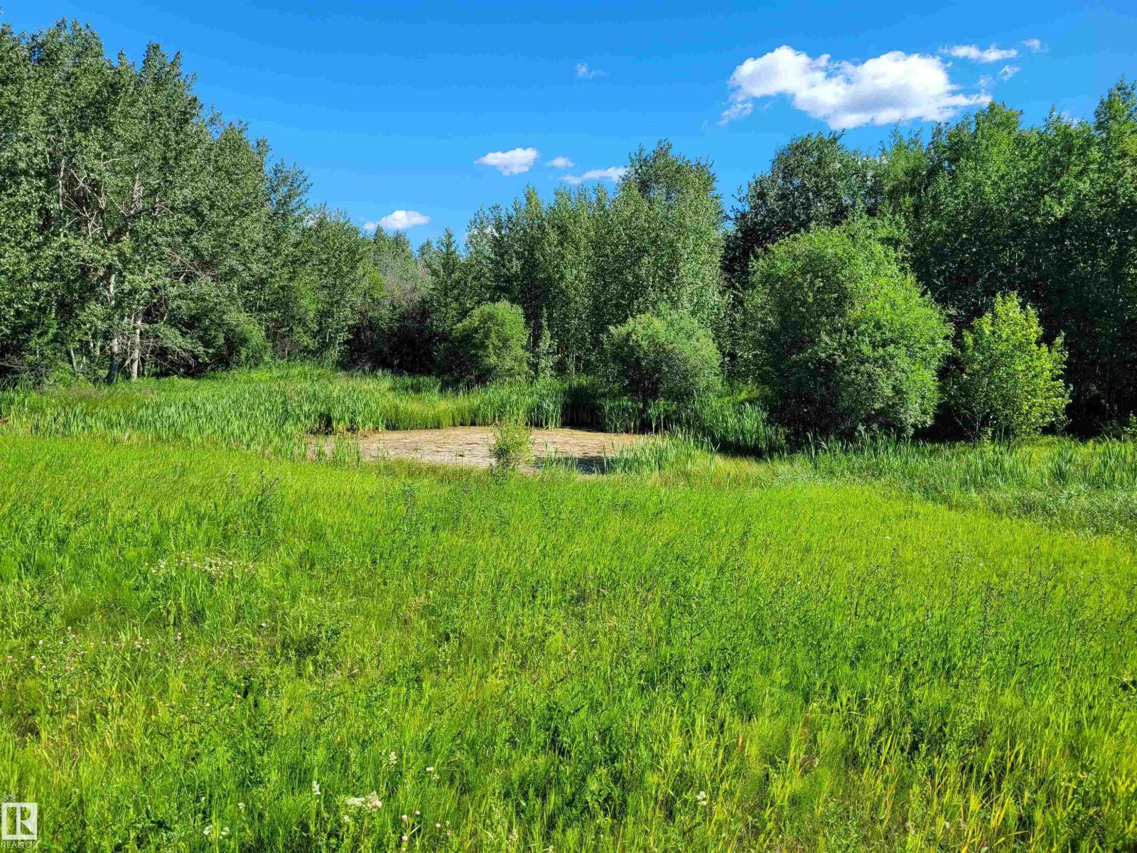 Out Of Town #7 Willow Dr, Boyle, Alberta  T0A 0M0 - Photo 19 - E4504153