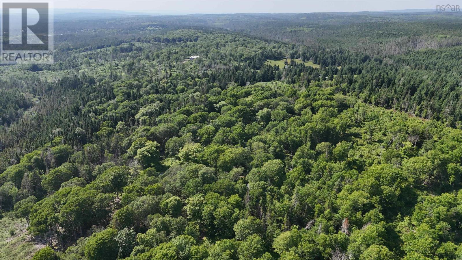 139 Acres Shaws Road, Lewis Cove Road, Nova Scotia  B0E 3B0 - Photo 10 - 202620722