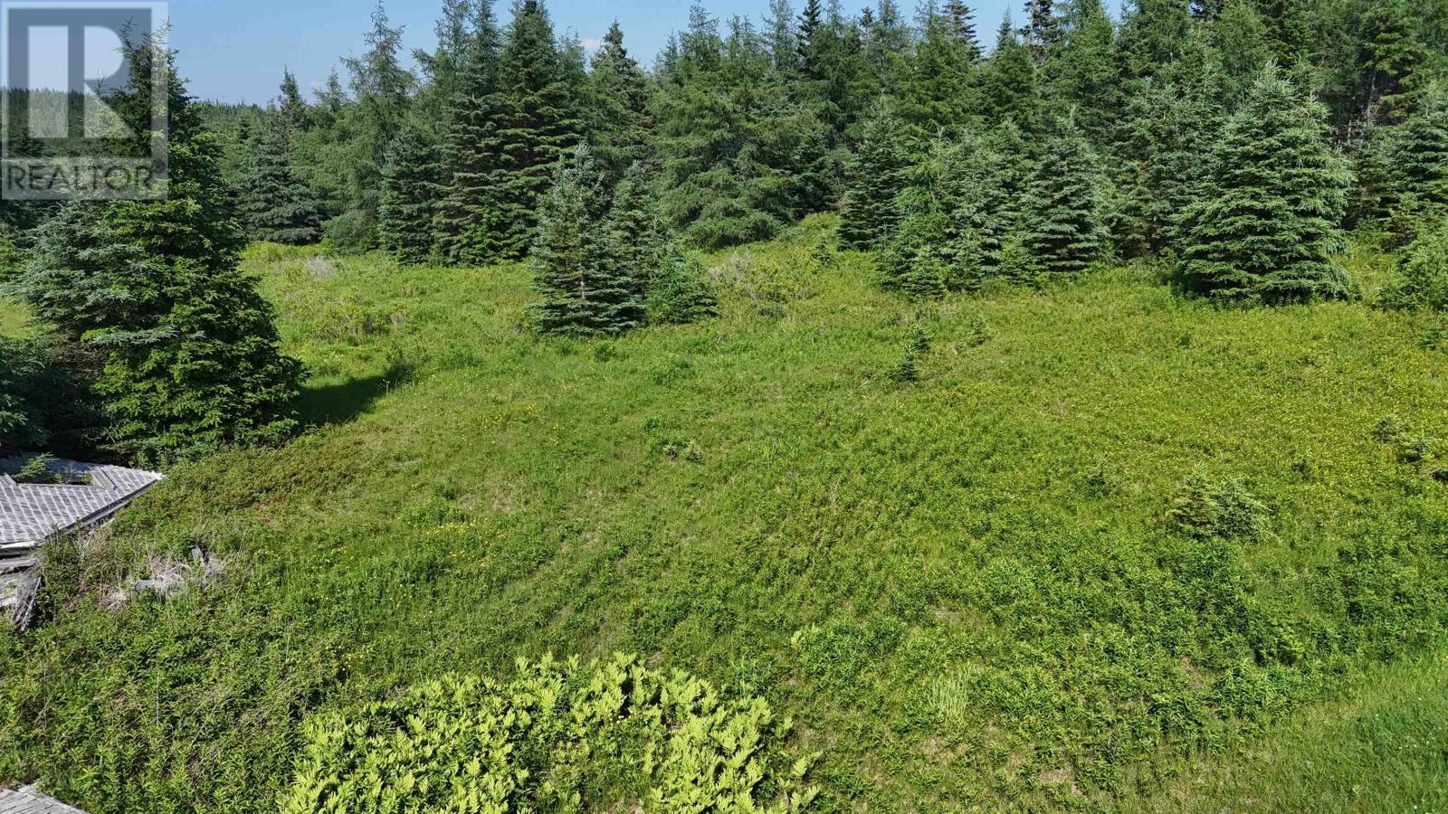 139 Acres Shaws Road, Lewis Cove Road, Nova Scotia  B0E 3B0 - Photo 11 - 202620722
