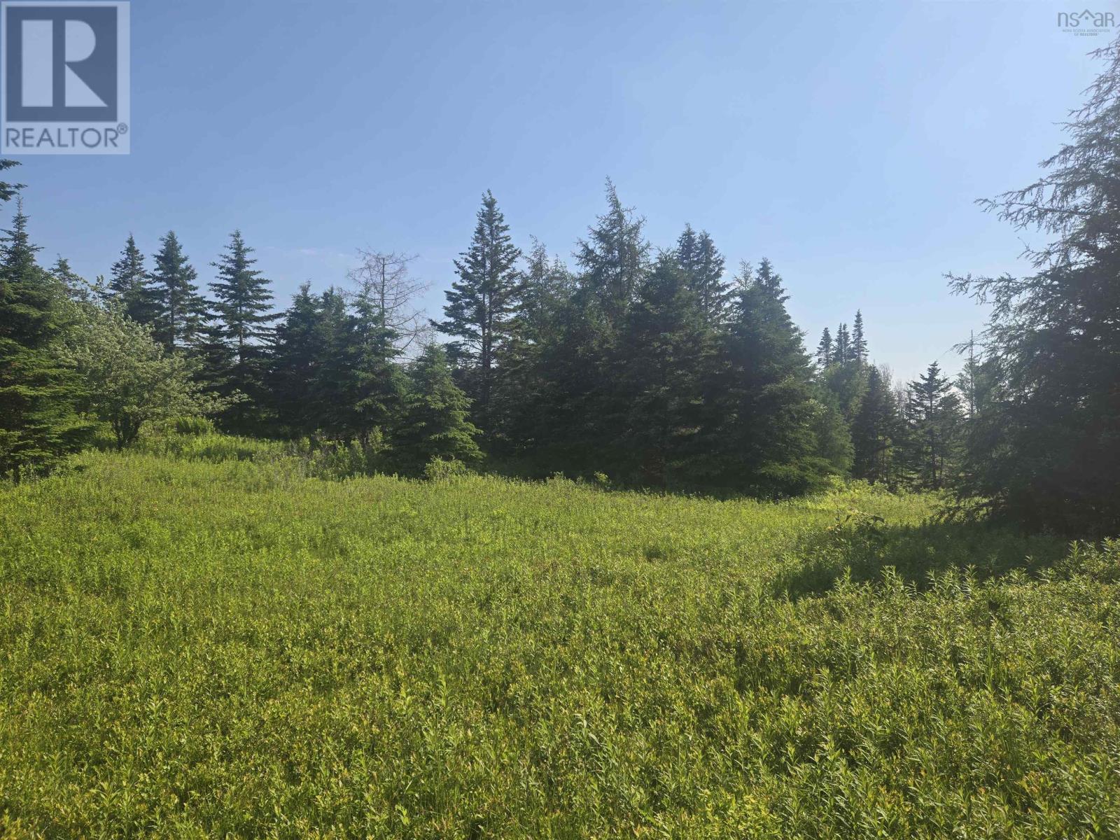139 Acres Shaws Road, Lewis Cove Road, Nova Scotia  B0E 3B0 - Photo 12 - 202620722