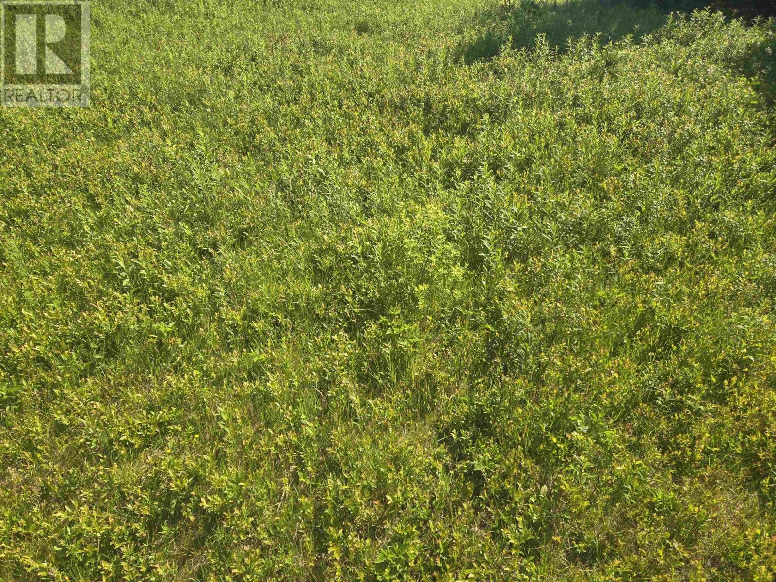 139 Acres Shaws Road, Lewis Cove Road, Nova Scotia  B0E 3B0 - Photo 13 - 202620722